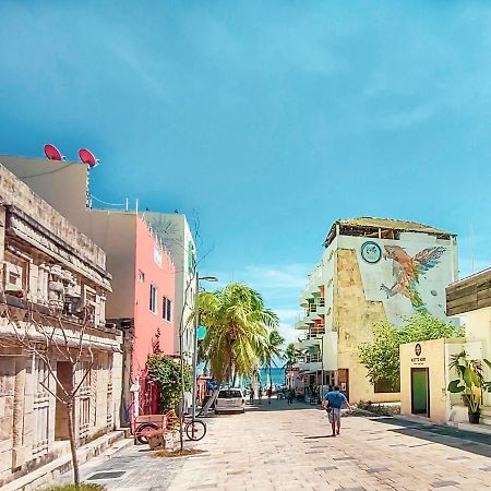 Lezzoto 2.5 Beach Playa del Carmen Exterior photo